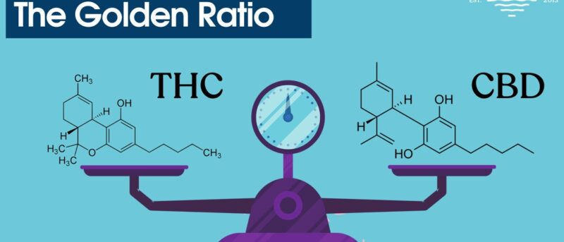 THC CBD ratio